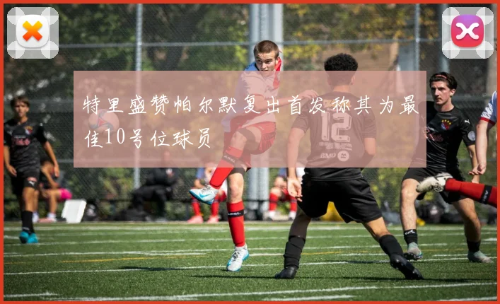 特里盛赞帕尔默复出首发称其为最佳10号位球员